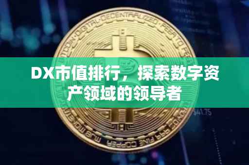 DX市值排行，探索数字资产领域的领导者
