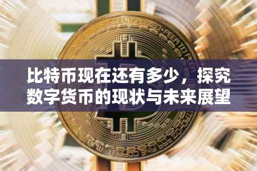 比特币现在还有多少，探究数字货币的现状与未来展望