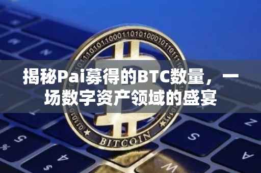 揭秘Pai募得的BTC数量，一场数字资产领域的盛宴