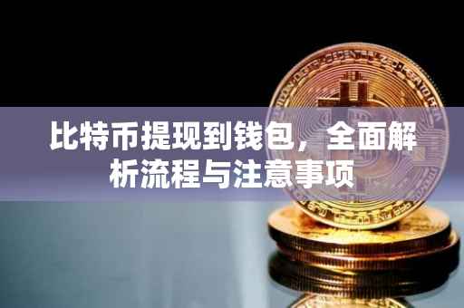 比特币提现到钱包，全面解析流程与注意事项