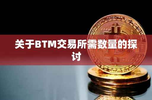 关于BTM交易所需数量的探讨