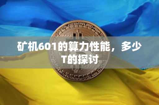 矿机601的算力性能，多少T的探讨