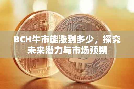 BCH牛市能涨到多少，探究未来潜力与市场预期