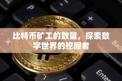 比特币矿工的数量，探索数字世界的挖掘者