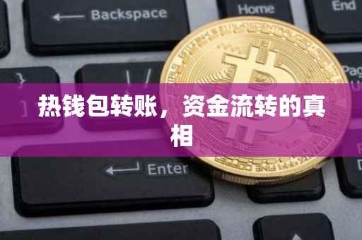 热钱包转账，资金流转的真相