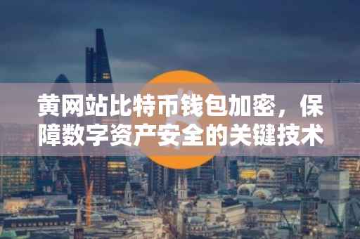 黄网站比特币钱包加密，保障数字资产安全的关键技术