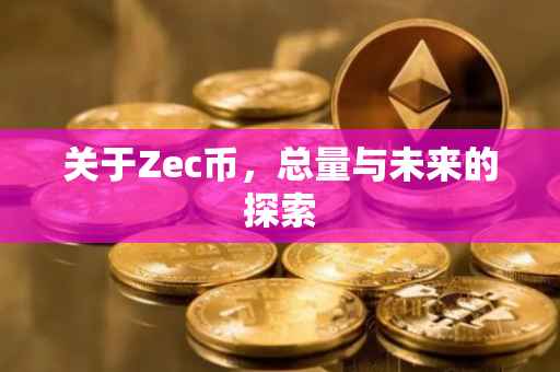 关于Zec币，总量与未来的探索