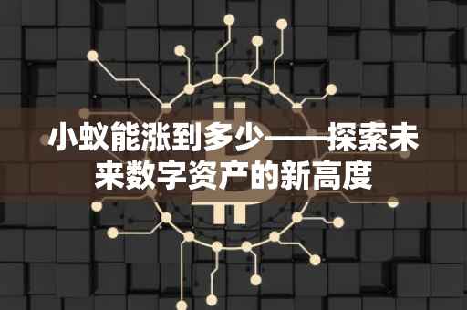 小蚁能涨到多少——探索未来数字资产的新高度