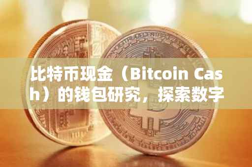 比特币现金（Bitcoin Cash）的钱包研究，探索数字现金的新世界
