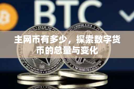 主网币有多少，探索数字货币的总量与变化