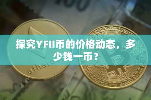 探究YFII币的价格动态，多少钱一币？