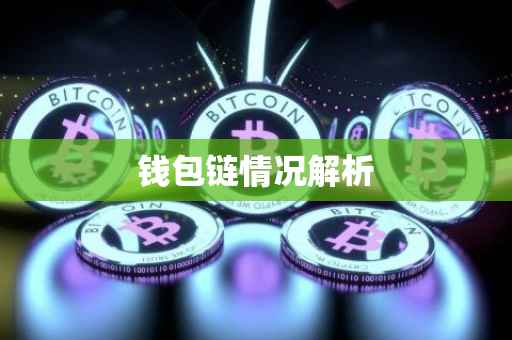 钱包链情况解析