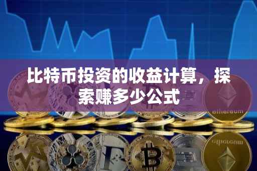 比特币投资的收益计算，探索赚多少公式