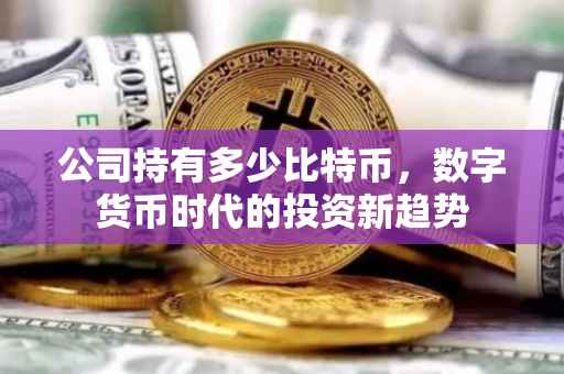 公司持有多少比特币，数字货币时代的投资新趋势