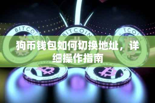 狗币钱包如何切换地址，详细操作指南