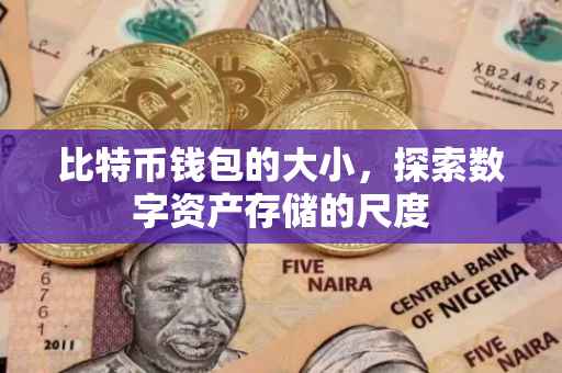 比特币钱包的大小，探索数字资产存储的尺度