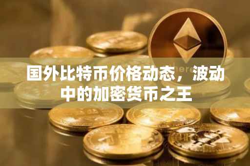 国外比特币价格动态，波动中的加密货币之王