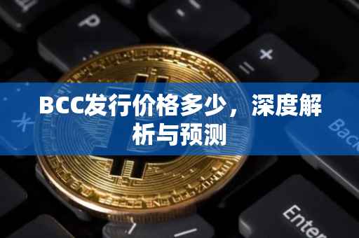 BCC发行价格多少，深度解析与预测