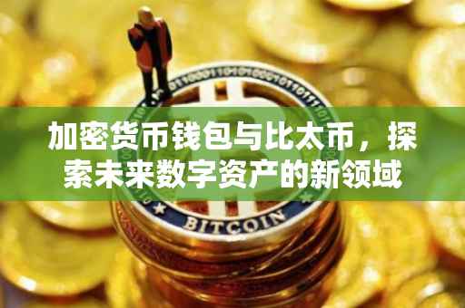加密货币钱包与比太币，探索未来数字资产的新领域