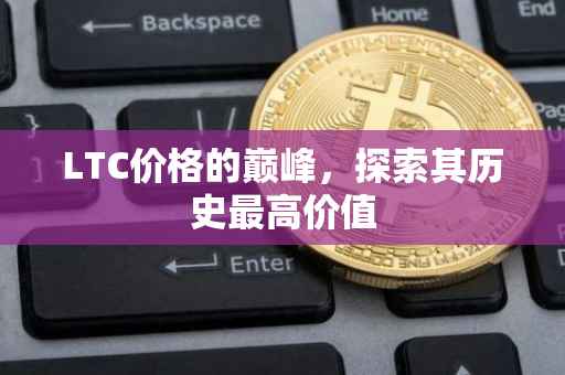 LTC价格的巅峰，探索其历史最高价值