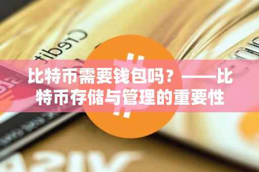 比特币需要钱包吗？——比特币存储与管理的重要性