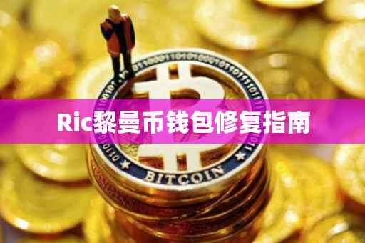 Ric黎曼币钱包修复指南
