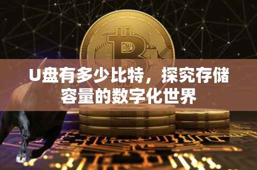 U盘有多少比特，探究存储容量的数字化世界