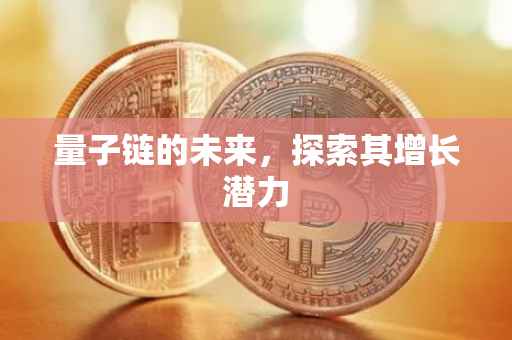 量子链的未来，探索其增长潜力