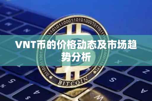 VNT币的价格动态及市场趋势分析