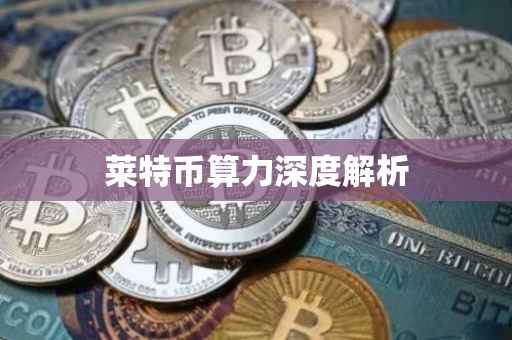 莱特币算力深度解析