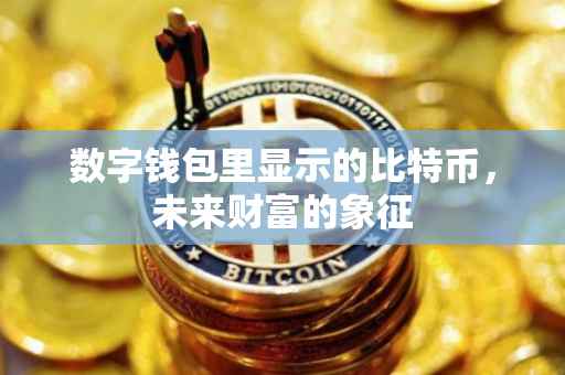 数字钱包里显示的比特币，未来财富的象征