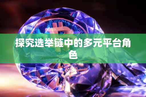 探究选举链中的多元平台角色