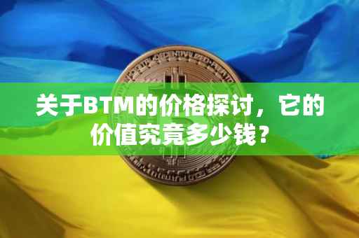 关于BTM的价格探讨，它的价值究竟多少钱？