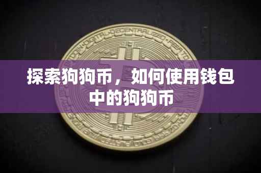 探索狗狗币，如何使用钱包中的狗狗币