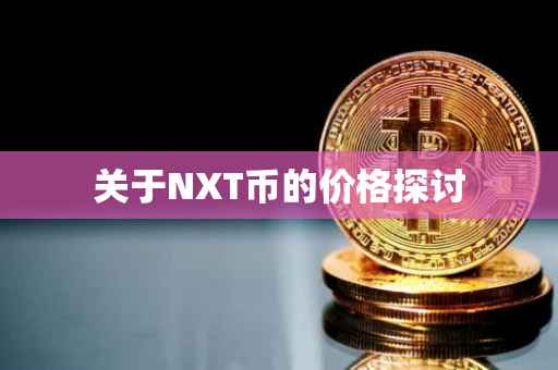 关于NXT币的价格探讨
