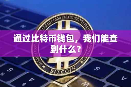 通过比特币钱包，我们能查到什么？
