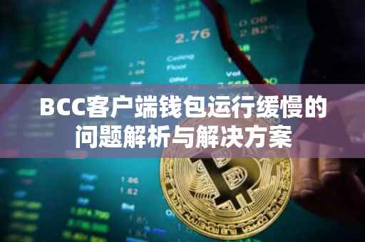 BCC客户端钱包运行缓慢的问题解析与解决方案