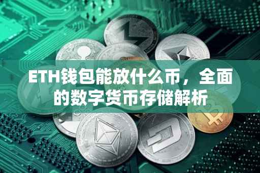 ETH钱包能放什么币，全面的数字货币存储解析