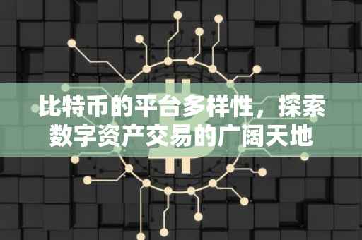 比特币的平台多样性,探索数字资产交易的广阔天地