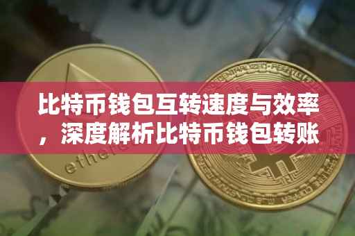 比特币钱包互转速度与效率，深度解析比特币钱包转账的快捷性