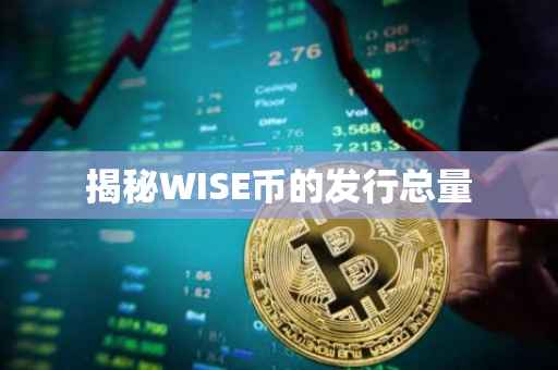 揭秘WISE币的发行总量