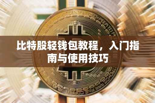 比特股轻钱包教程，入门指南与使用技巧