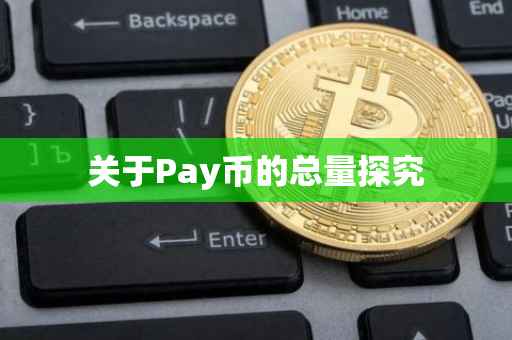 关于Pay币的总量探究
