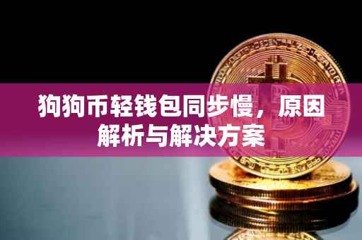 狗狗币轻钱包同步慢,原因解析与解决方案