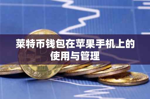 莱特币钱包在苹果手机上的使用与管理