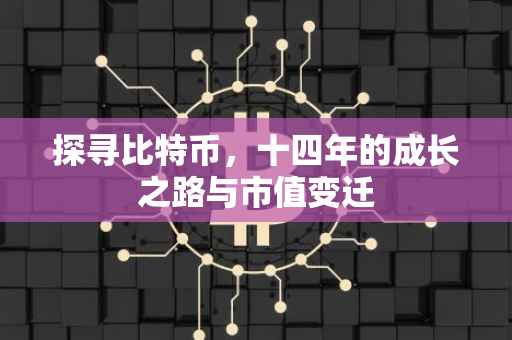 探寻比特币，十四年的成长之路与市值变迁