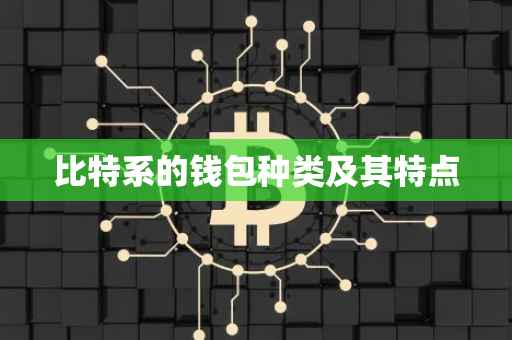 比特系的钱包种类及其特点