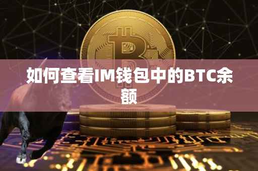 如何查看IM钱包中的BTC余额