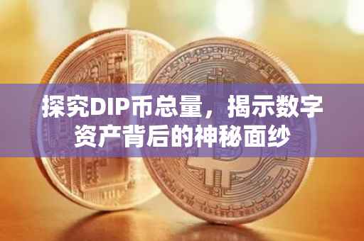 探究DIP币总量，揭示数字资产背后的神秘面纱