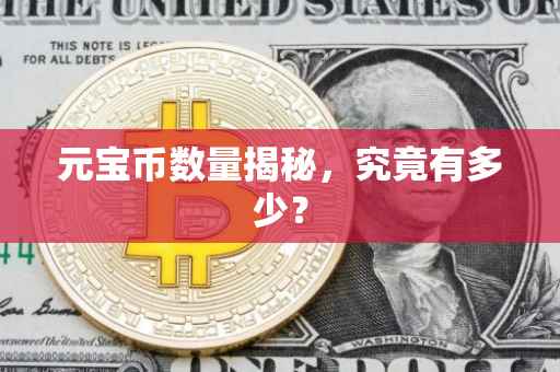 元宝币数量揭秘，究竟有多少？